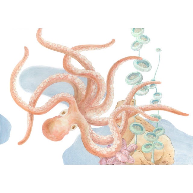 Children's "An Octopus's Garden and Don't be Jelly" Contemporary Jellyfish and Octopus Acrylic Diptych Paintings by Allison Cosmo - a Pair s For Sale - Image 3 of 10