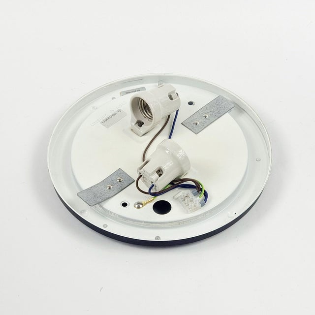 Large Mid-Century Modern Glass Flush Mount from Limburg, Germany, 1960s For Sale - Image 9 of 11