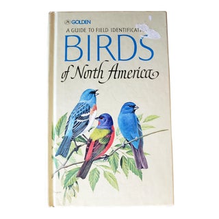 Guide Book to Birds of North America For Sale