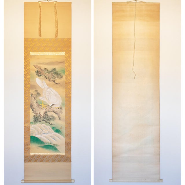 Nishii Shōdō "White Hawk on a Pine Tree", Late Meiji to Early Showa Large Scroll Painting For Sale - Image 15 of 18