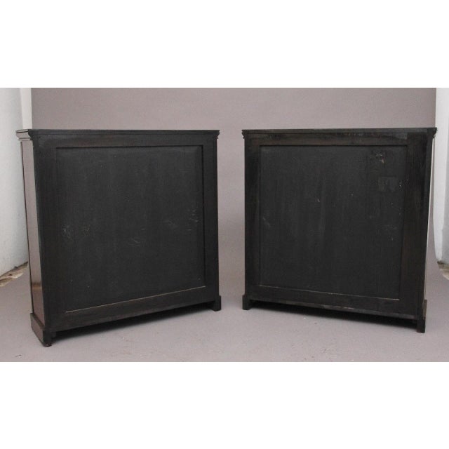 Early 19th Century Rosewood Cabinets, 1830, Set of 2 For Sale - Image 4 of 13