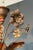 1940s Large 2-tier chandelier in gold metal with 12 lights in the style of Maison Baguès For Sale - Image 10 of 12