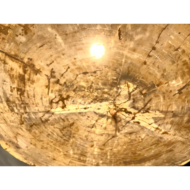 1990s Petrified Wood Coffee Table For Sale - Image 9 of 12