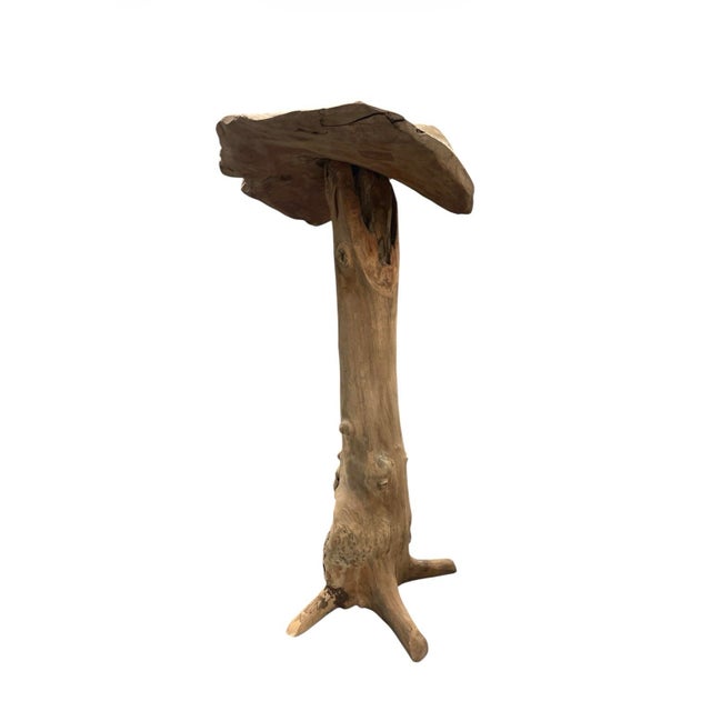 Artisanal Hand-Carved Teak Root Mushroom Sculpture For Sale In West Palm - Image 6 of 12