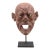 Mid 19th Century Large Japanese Lacquer Mask For Sale