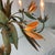 Green Vintage Italian Tall Birds of Paradise Chandelier For Sale - Image 8 of 13