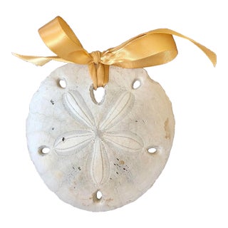 Large Sand Dollar Ornament For Sale