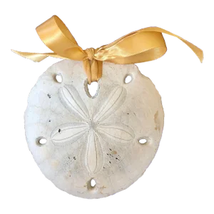 Large Sand Dollar Ornament