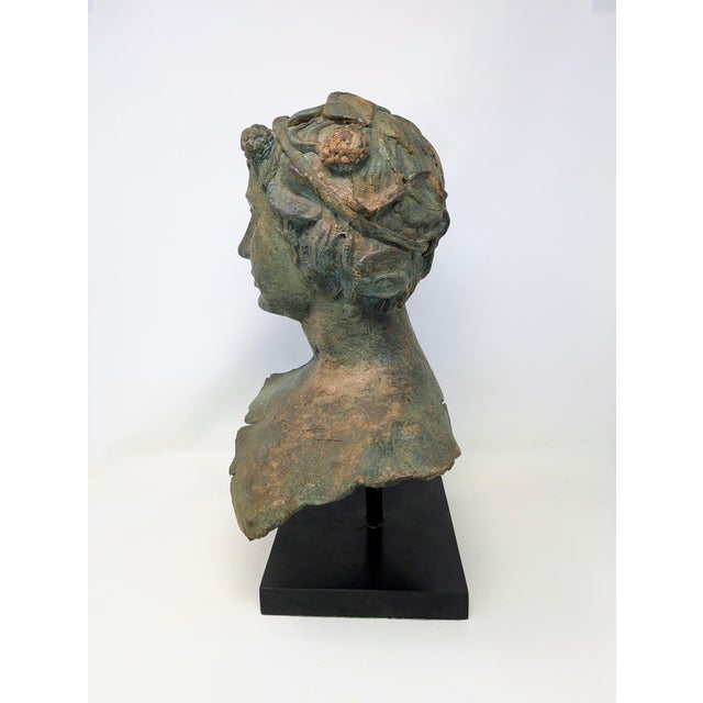 19th Century Greco-Roman Bronze Bust: Bacchus/Dionysus For Sale - Image 4 of 9