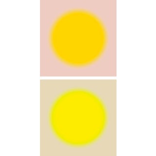 Contemporary Art Prints Set of 2 Sun Yellow & Pink Diptych Fine Art by Angela Cameron For Sale