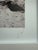 Photography Akila Berjaoui “Formentera 11” — Signed Fine-Art Photograph For Sale - Image 7 of 8