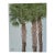 Acrylic Painting Texas Palmetto Palms by Cynthia Geyer For Sale