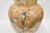 Large English Majolica Aesthetic Floor Vase For Sale In New York - Image 6 of 13