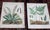 Realism Authentic Antique 19th Century Large Botanical Fern Chromolithographs - Set of 9 For Sale - Image 3 of 9