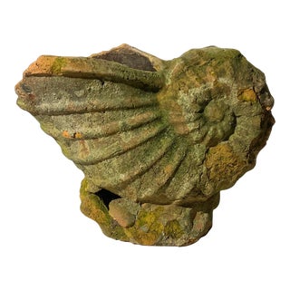 Late 19th Century Antique Terracotta Shell Form Planter For Sale