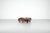 Coffee Table by Carlo Hauner for Forma, Italy, 1960s For Sale - Image 3 of 16