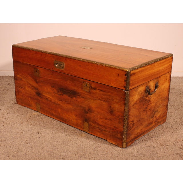 19th Century Marine Chest in Camphor Wood For Sale - Image 5 of 13