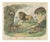 Antique Lion, Jaguar, Leopard and Cheetah Print by Kolb, 1890 For Sale