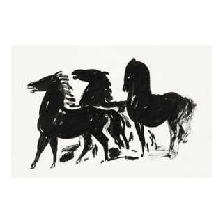 Black Horses Art Print, Vintage Equine Drawing Reproduction, 36" X 24" For Sale