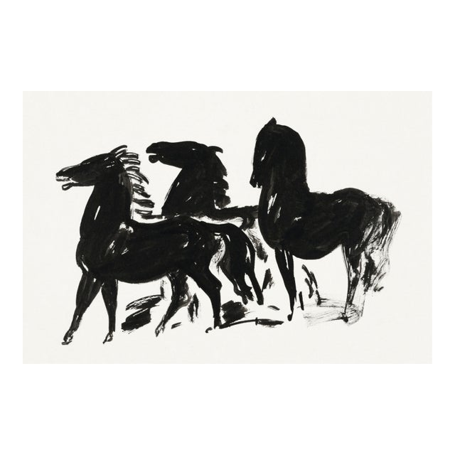 Black Horses Art Print, Vintage Equine Drawing Reproduction, 36" X 24" For Sale