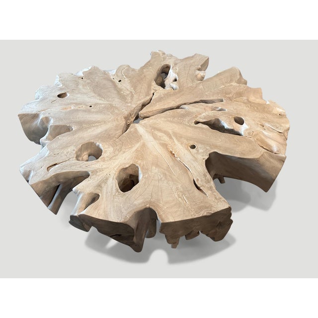 Brown Andrianna Shamaris Bleached Teak Wood Organic Coffee Table For Sale - Image 8 of 18