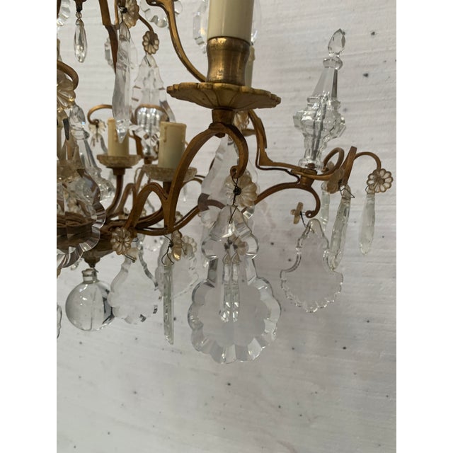 Gold Louis XV Style Cage Chandelier in Bronze with Glass Pendants, 20th Century For Sale - Image 8 of 12