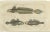 Set of two original antique fish prints. Dolphin fish or mahi mahi, Coryphaena hippurus 112, and sand tilefish,...