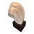 1980 Austin Productions Modernist Female Sculpture on Original Glossy Black Plinth For Sale
