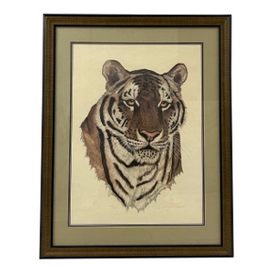 Tiger IV