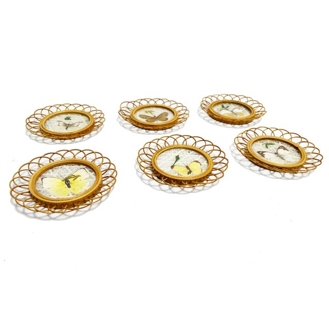 Add some whimsical fun to your decor with this vintage set of 6 wicker coasters, made with real butterflies. The set...