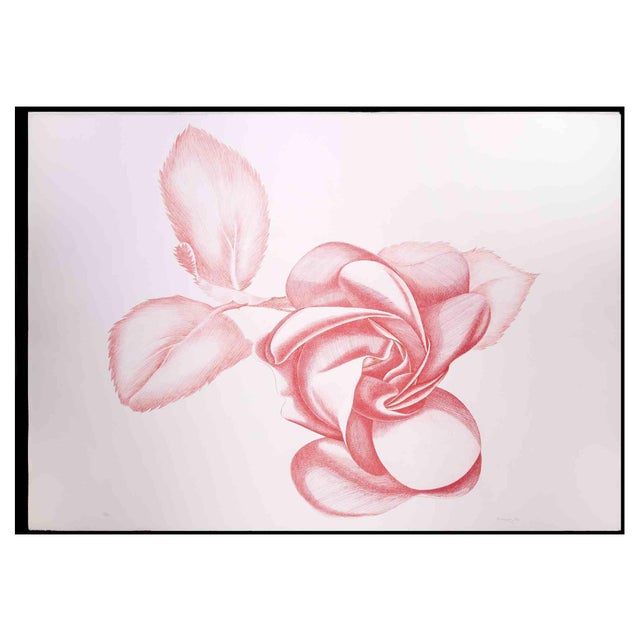 Giacomo Porzano, Red Rose, Original Etching, 1970s For Sale