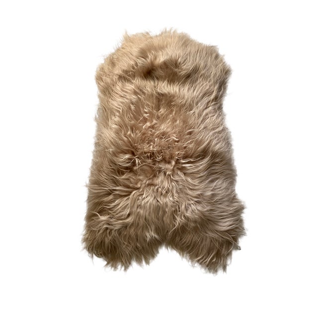 Contemporary Champagne Icelandic Sheepskin Hide Throw Rug For Sale - Image 3 of 5
