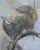 Medieval Rhinoceros by Elena Burykina | Oil on panel Depiction of a rhinoceros in medieval armor. For Sale