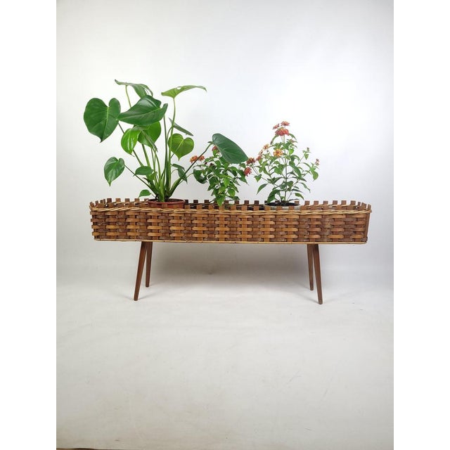 Brown Vintage Plant Stand in Wood, 1960s For Sale - Image 8 of 10