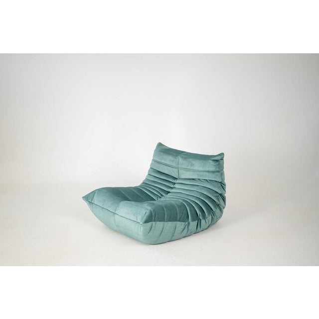 Togo Lounge Chair and Mint Velvet by Michel Ducaroy for Ligne Roset, 1973, Set of 2 For Sale - Image 10 of 18