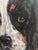 Portrait of English Setters, Signed Ole Larsen, 1949 For Sale In Philadelphia - Image 6 of 8