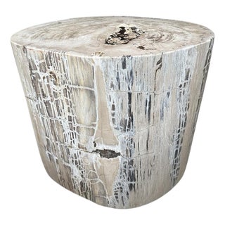 Andrianna Shamaris Exquisite High Quality Petrified Wood Side Table or Pedestal For Sale