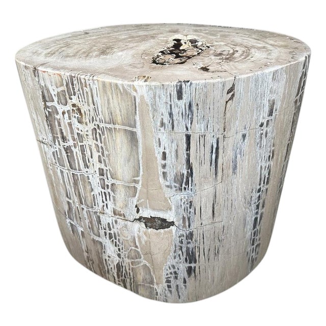 Andrianna Shamaris Exquisite High Quality Petrified Wood Side Table or Pedestal For Sale