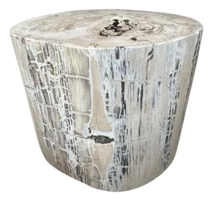 Andrianna Shamaris Exquisite High Quality Petrified Wood Side Table or Pedestal