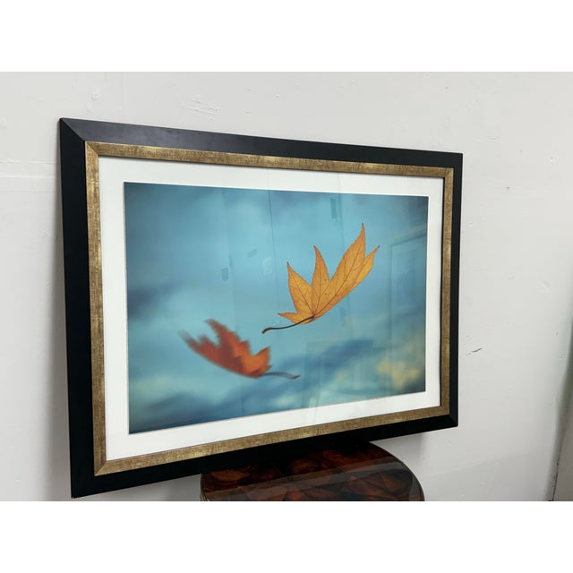 Contemporary Thom Filicia for Soicher Marin Leaves in Motion Print, Framed For Sale - Image 3 of 12