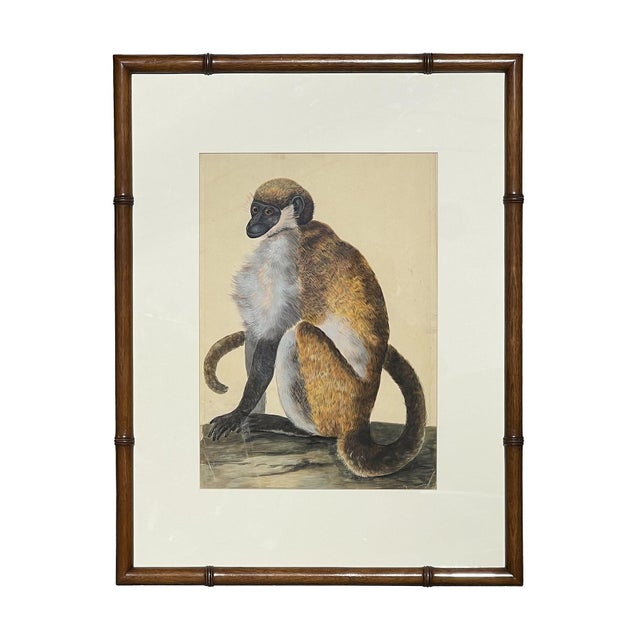 Early naturalistic wildlife rendering by the English artist Peter Paillou. The work features a delicately rendered...