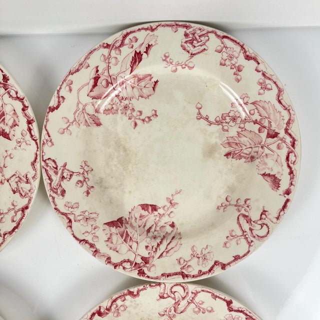 Vintage Terre De Fer Dinner Plates from KG Lunéville, 1800s, Set of 4 For Sale - Image 10 of 16
