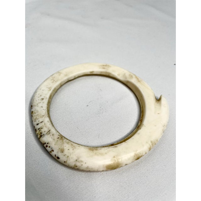 Antique Mounted New Guinea Abelam Currency Shell Rings- a Set of 3 For Sale - Image 12 of 12
