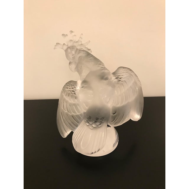 Transparent Lalique Crystal Sculpture Cockatoo Bird For Sale - Image 8 of 13