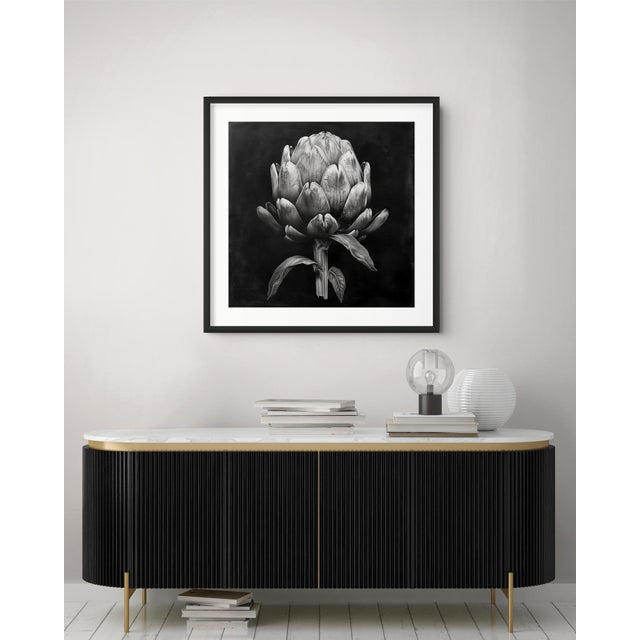 A striking black-and-white botanical print featuring Springtime Artichoke Flower, meticulously restored and remastered...