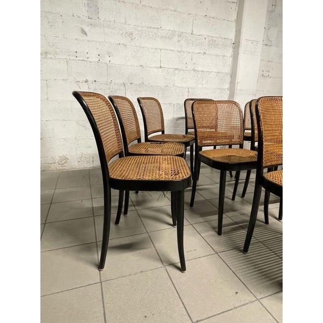 Model 811 Chairs by Josef Hoffmann for Drevounia Manufacture, 1970s, Set of 10 For Sale - Image 13 of 18