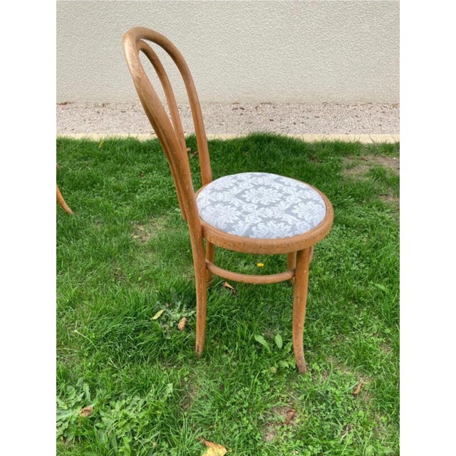 Wood Bistro Chairs in Bent Beechwood and Damask Fabric from Fischel, 1890s For Sale - Image 7 of 10
