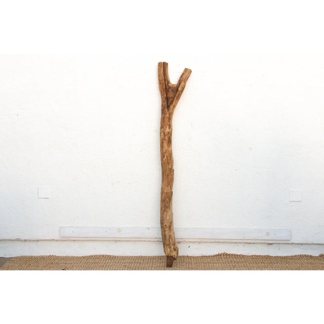 Wood 19th Century West African Sun-Bleached Ladder For Sale - Image 7 of 10