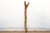 Wood 19th Century West African Sun-Bleached Ladder For Sale - Image 7 of 10