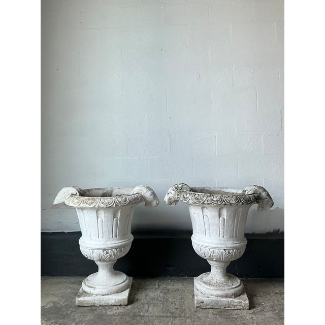 Neoclassical Vintage Cement Ram's Head Planters - Pair For Sale - Image 3 of 12